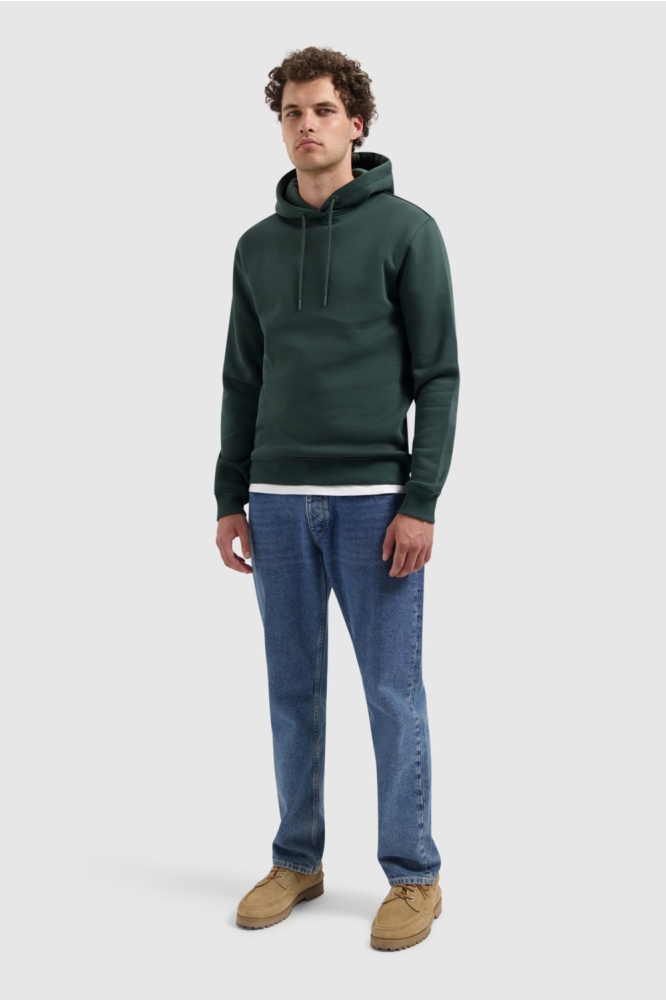 REGULAR FIT HOODIE LS SWEATERS 25030301 16 DARK GREEN